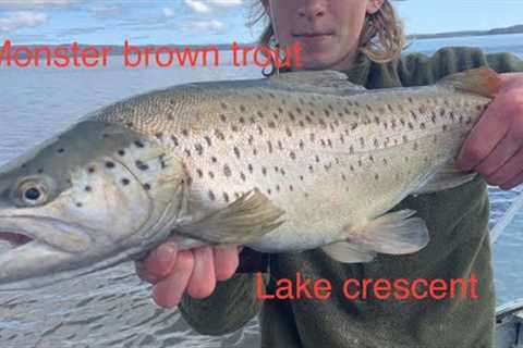 (Trout fishing Tasmania) catching big lake crescent brownies