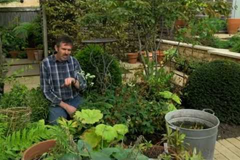 Gardeners' World 2022 Episode 28 - Gardeners' World Full Episodes