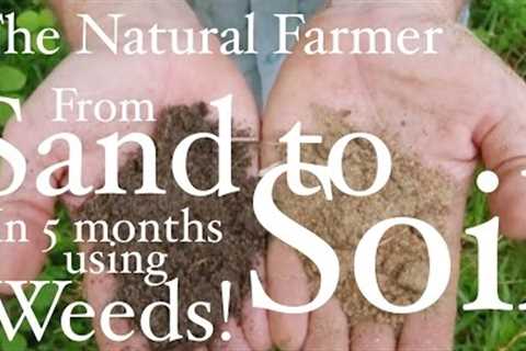 Fix Sandy Soil Using Weeds - John Kaisner The Natural Farmer