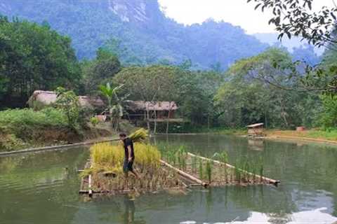 Harvesting floating rice, the result of the first test. Primitive Skills (ep187)