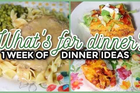 WHAT'S FOR DINNER? | 7 Real-Life Family Meal Ideas