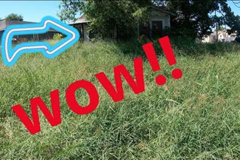 NO ONE ELSE WOULD CUT THIS! OVERGROWN abandoned house! (shout out to Lawn care Juggernaut!)