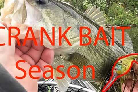 CRANK BAIT fall time bass fishing