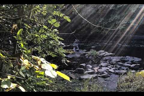 Fly Fishing on the River Ayr with Davie McPhail