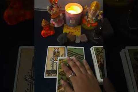 Career Guidance| Tarot Reading #shorts #blessed #guidance #tarot #career #professional #blessings