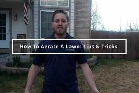 How To Aerate A Lawn: Tips &amp; Tricks From a Lawn Care Service PRO!