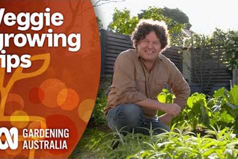How to maximise your vegetable gardens produce year-round | Gardening 101 | Gardening Australia