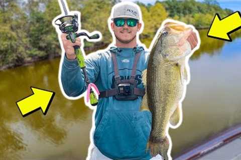 WE FOUND THE BIG BASS - Shallow Water Fall Bass Fishing