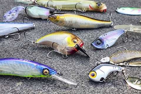 Where Do Bass Go In Fall? (And Easy Ways To Catch Them)