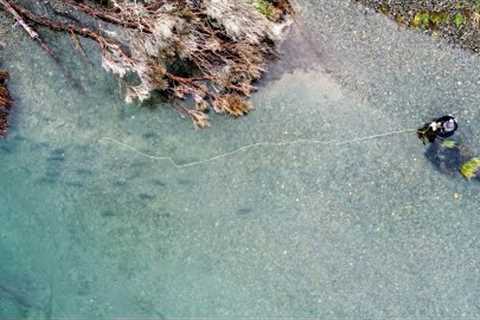Incredible fly fishing for big steelhead-like trout!!