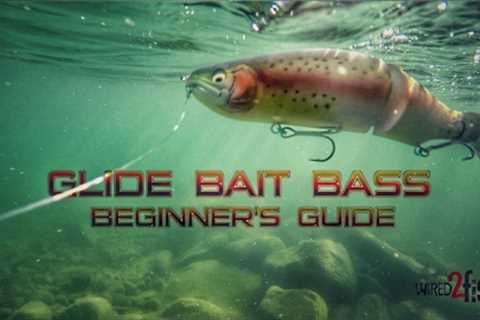 Glide Bait Fishing Bass: A Beginner's Guide