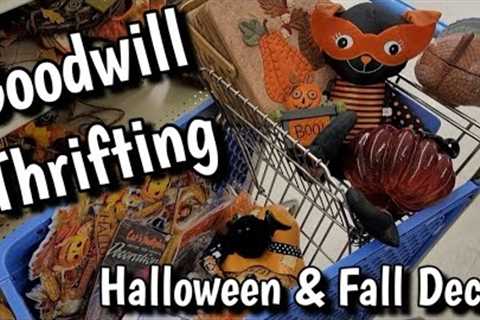 Goodwill Thrift Store Had All THIS - Halloween Fall Harvest Decor Shopping - Thrifting Resale