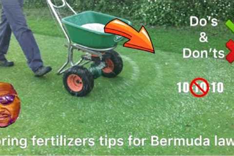 Spring Fertilizers tips for Bermuda Lawns