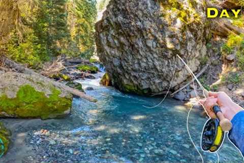 This is Small Stream Trout Fishing HEAVEN!! (Fly Fishing)