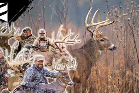 Should You Deer Hunt Mornings In October?