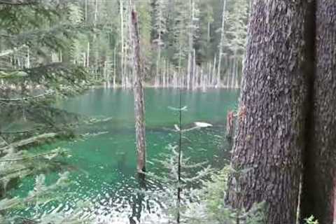 Remote Bigfoot Investigation of Three Sasquatch Encountered at Helens Lake
