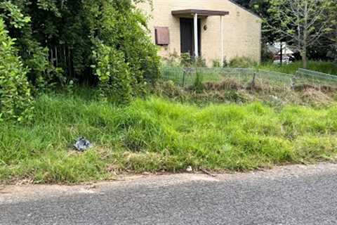 One Neighbour Wanted To FIGHT Me | Other Neighbour Wanted Me To Help This Couple With Their Lawn