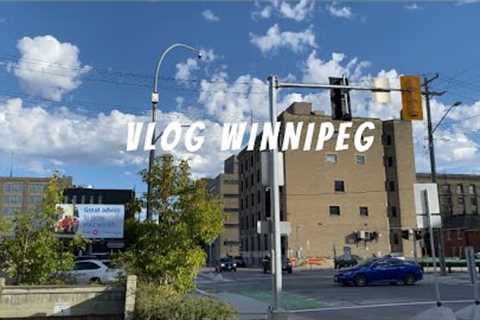 Lot of grocery shopping, IKEA, acupuncture | Vlog in Winnipeg • Canada