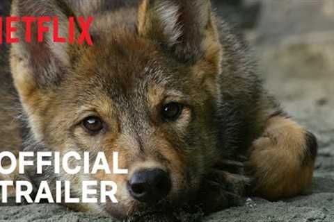 Island of the Sea Wolves | Official Trailer | Netflix