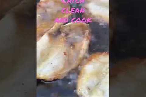 Catch, Clean and Cook Fish #shorts