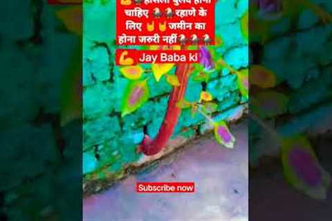 #new trending viral short video #new social media trending video