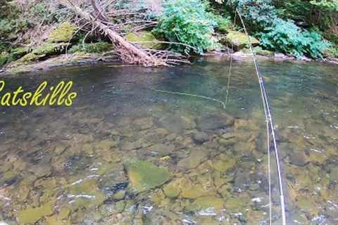 Fly Fishing the CATSKILLS (East Branch Delaware &amp; Willowemoc)