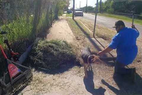 FREE LAWN SERVICE FOR LIFE!! Elderly recently widowed needed help with her lawn!