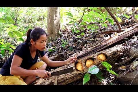 Survival Skills by  finding Foods &amp; Cooking with Cow tongue + 5 More Cooking Videos in forest