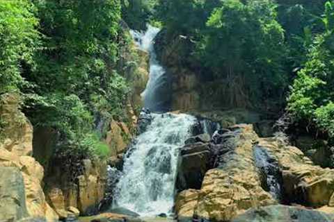 Relax your mind, reduce nervous disorders, relieve stress with Nature Sounds and Piano Music RT429