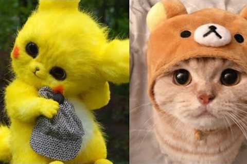 Funniest Kittens - Cute Funny Dog and Cat Videos - Part 33