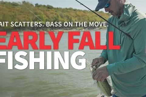 Early Fall Fishing (Bait Scatters. Bass on the Move. How to Stay on Them.)