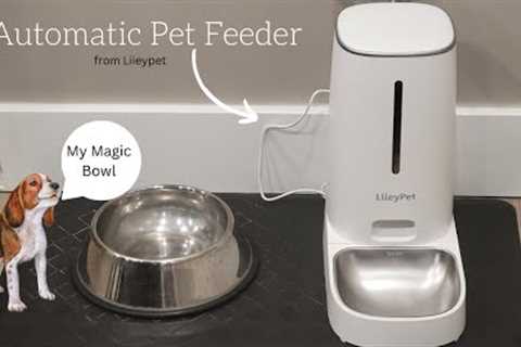Liieypet Automatic Pet Feeder | Product Review