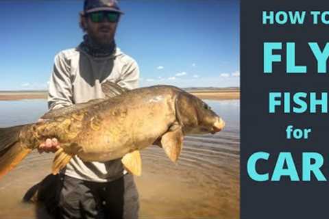 CARP FLY FISHING - how to