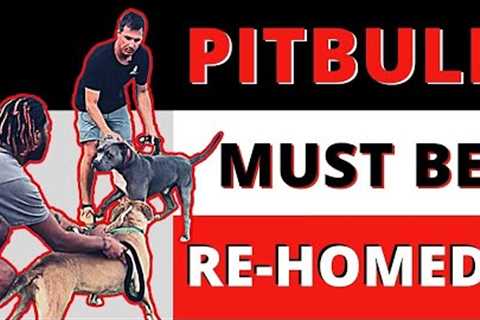 When you should re-home your aggressive dog.