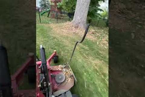 Shredding &amp; mulching leaves to a pulp! #shorts