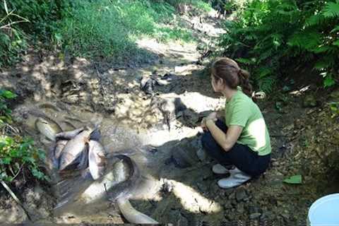 The girl catch a lot of fish in the wild lake by using a large pump to suck up the shallow water