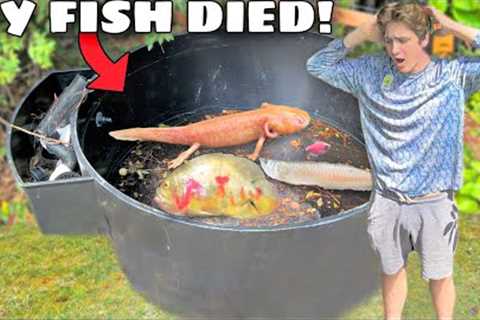 HURRICANE KILLED MY PET FISH!