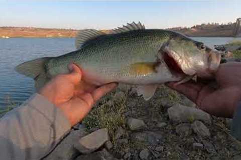 Fresno Bass Fishing(Eastman Lake)