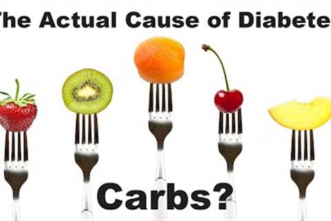 The ACTUAL Cause of Type 2 Diabetes. Carbs?
