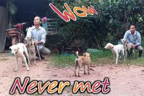 New dog breeds are popular on social media