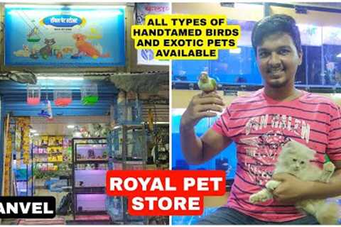 Variety of Fishes | Handtamed Birds | Cats | Exotic Pets | Royal Pet Store | Panvel | Fish.n.ansari