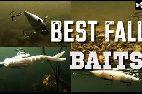 5 BEST BAITFISH BASS LURES for Fall Bass Fishing