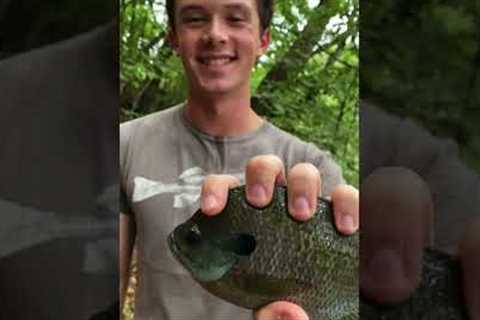I Went Fishing After Class!