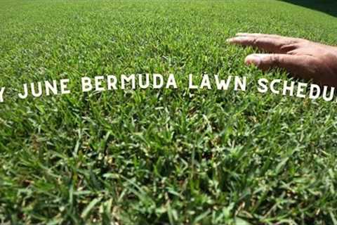 My bermuda lawn schedule for the month of June