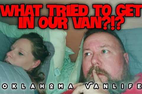 Unexplained Scary Noises, Coyotes.... then THIS HAPPENED!!!
