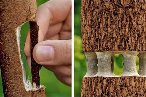 Unexpected Gardening Hacks, Fantastic Backyard Ideas &amp; Lawn Care Tips 🪴