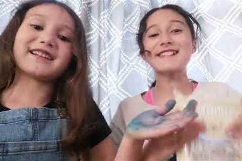 CAKE BAKING CHALLENGE - decorating our own cakes