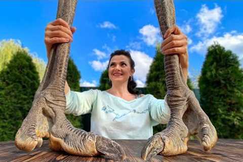 What to cook from Huge Ostrich Legs? Ostrich stew on the fire