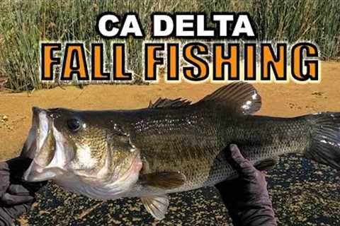 Fall Bass Fishing | CA Delta Bass Fishing