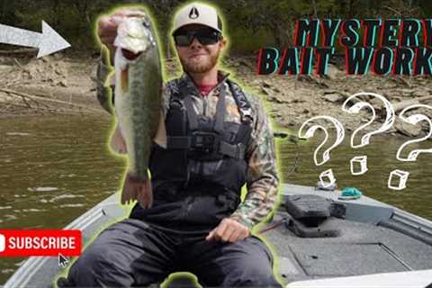 Bass fishing Norris lake end of September.